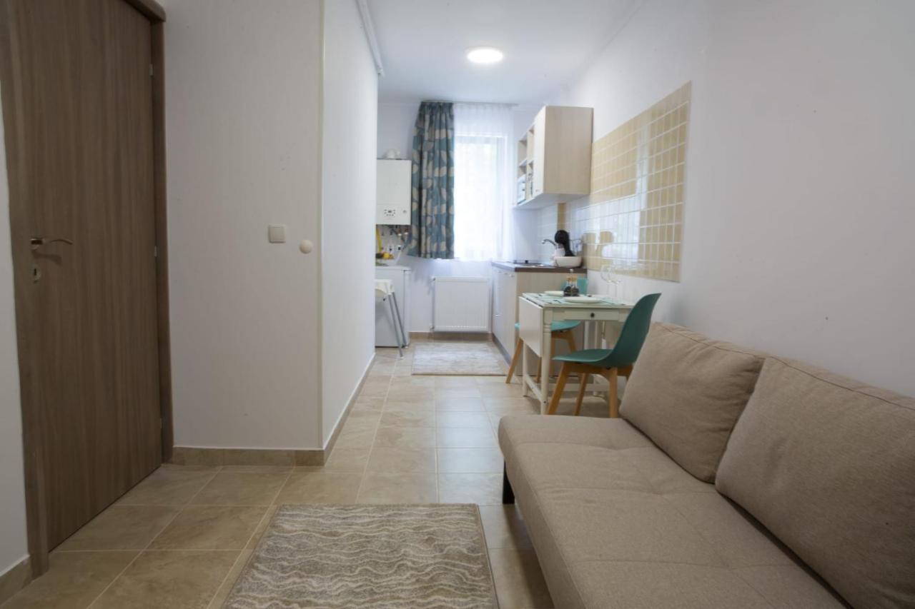 Vlad Apartments -Colina Marei Синая Экстерьер фото